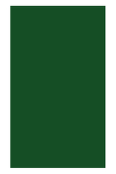 Ticon Fon Kartonu 50x70 cm 160 Gr Koyu Yeşil - 1