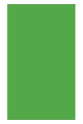 Ticon Fon Kartonu 50x70 cm Metalik Yeşil - 1